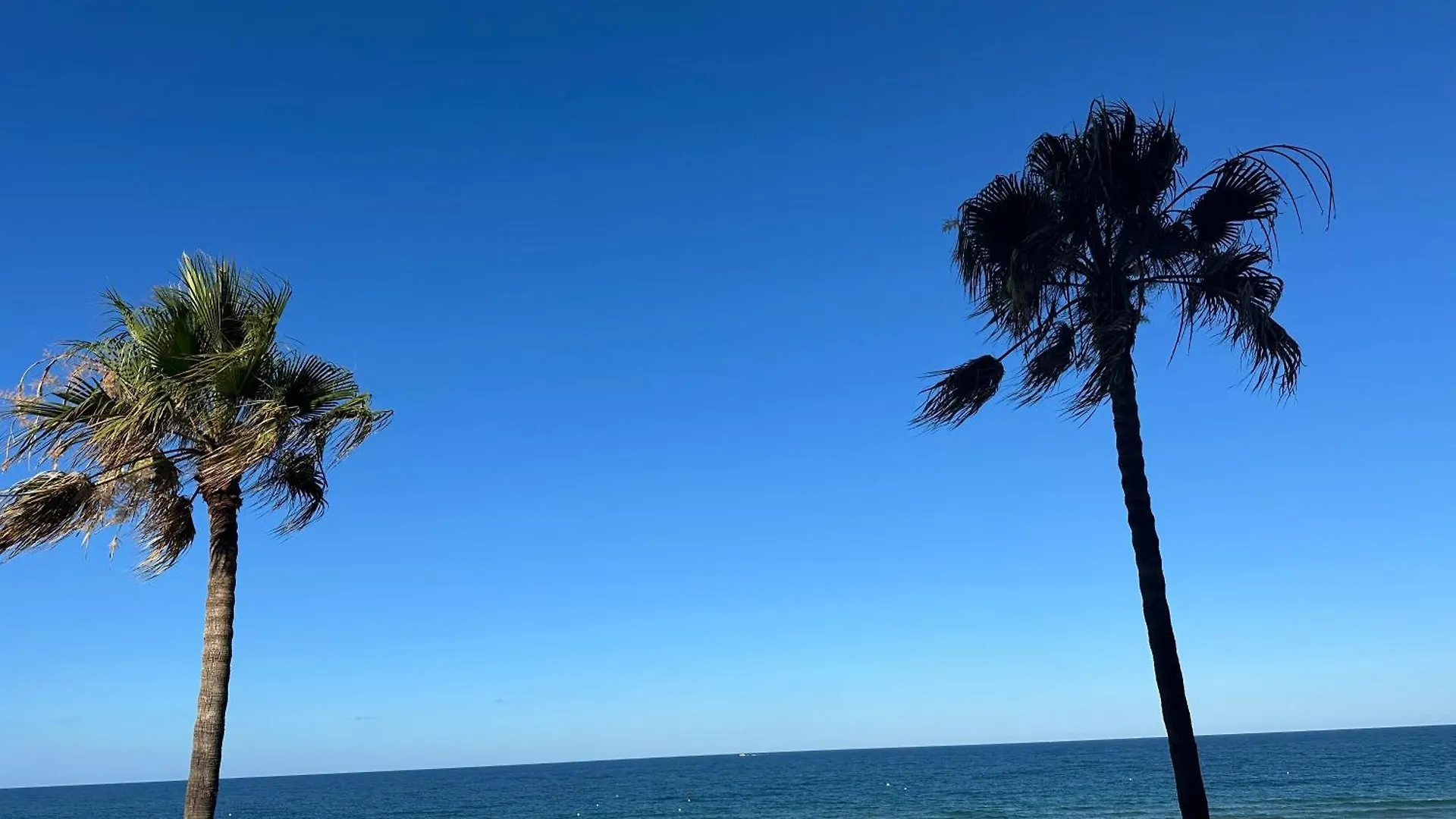 شقة Mirando Al Mar كاديز